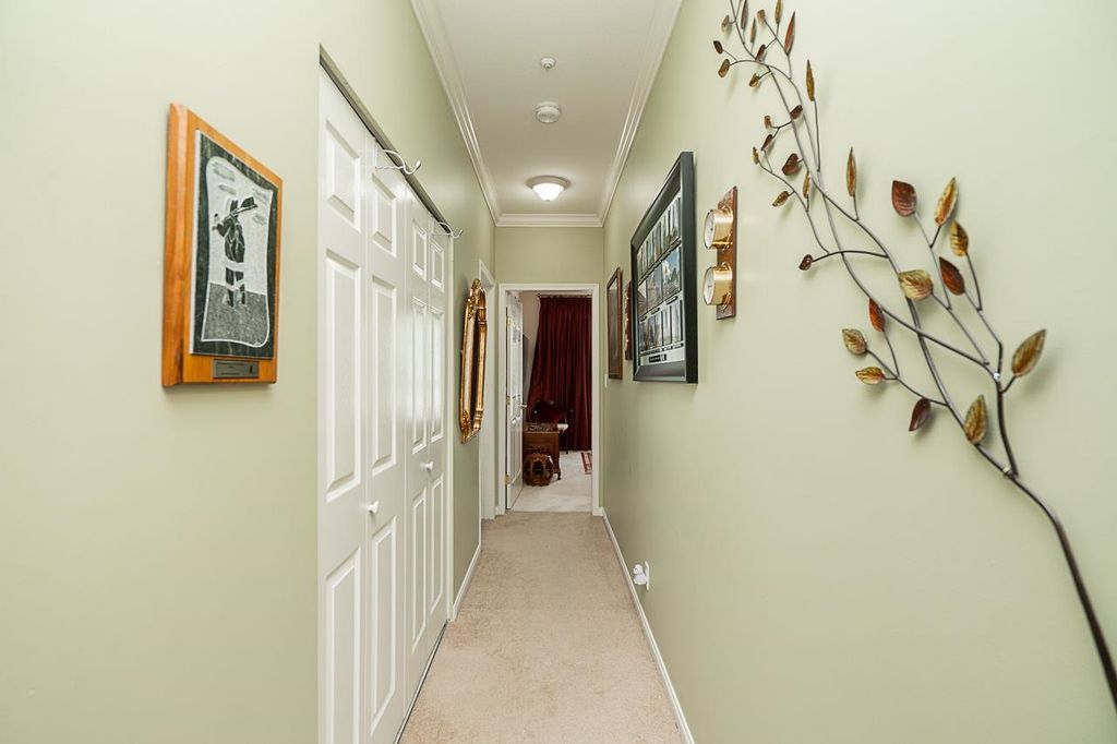 listing image 1106943850094015858
