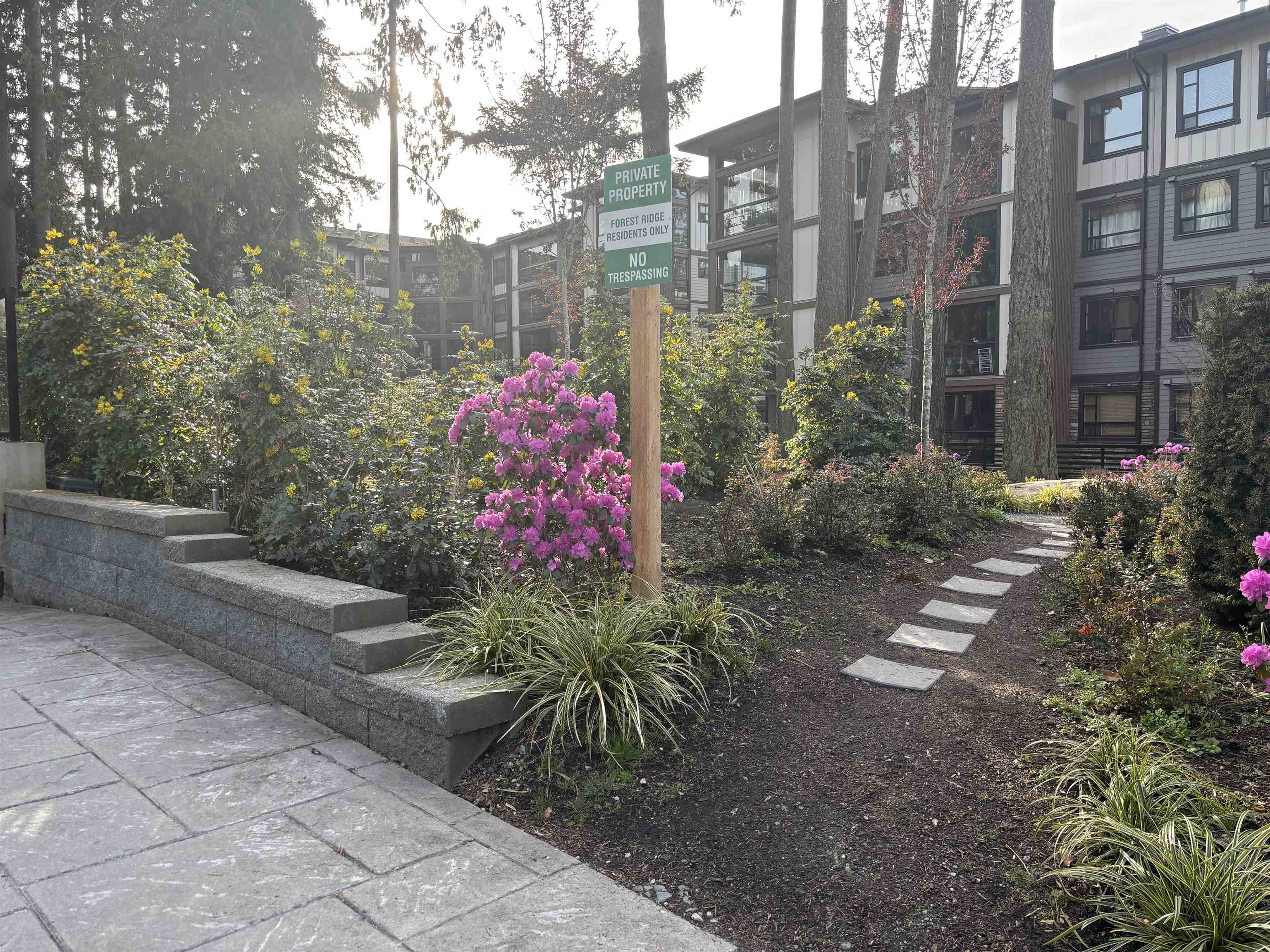 3535 146a Street 505