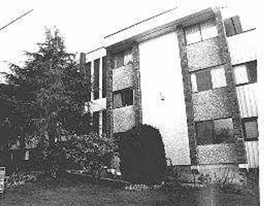listing image 1106809205049210542