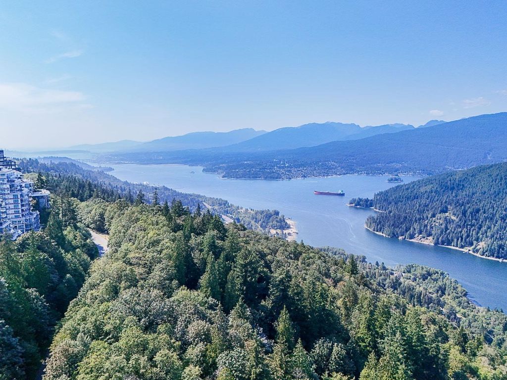 listing image 1104818263336458584