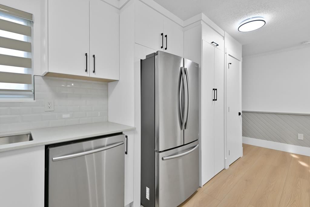 listing image 1100105104996765012