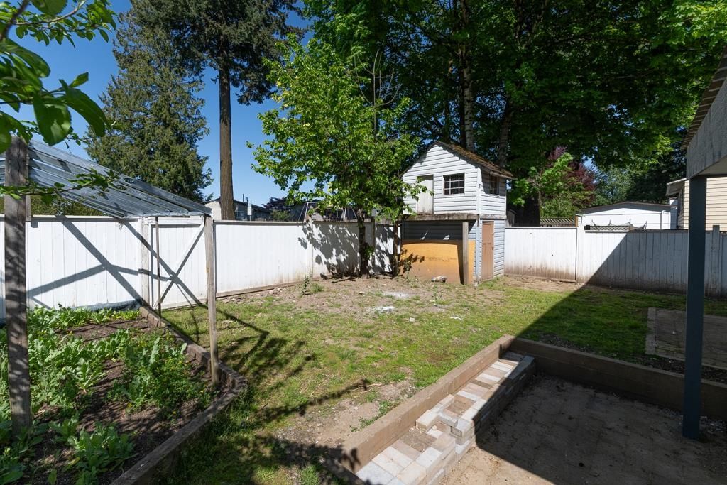 listing image 1107922927685320992