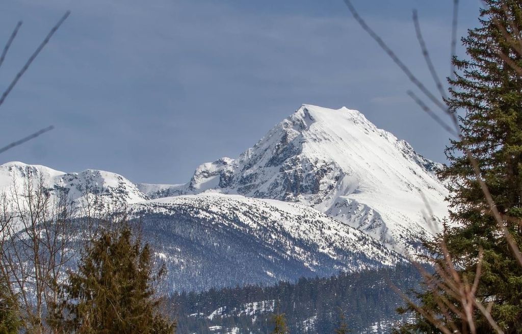 listing image 1101506606284478675