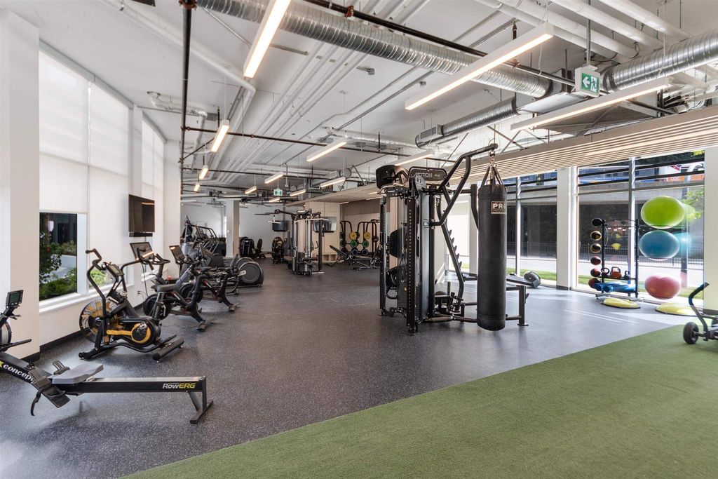 listing image 1102059358163243619