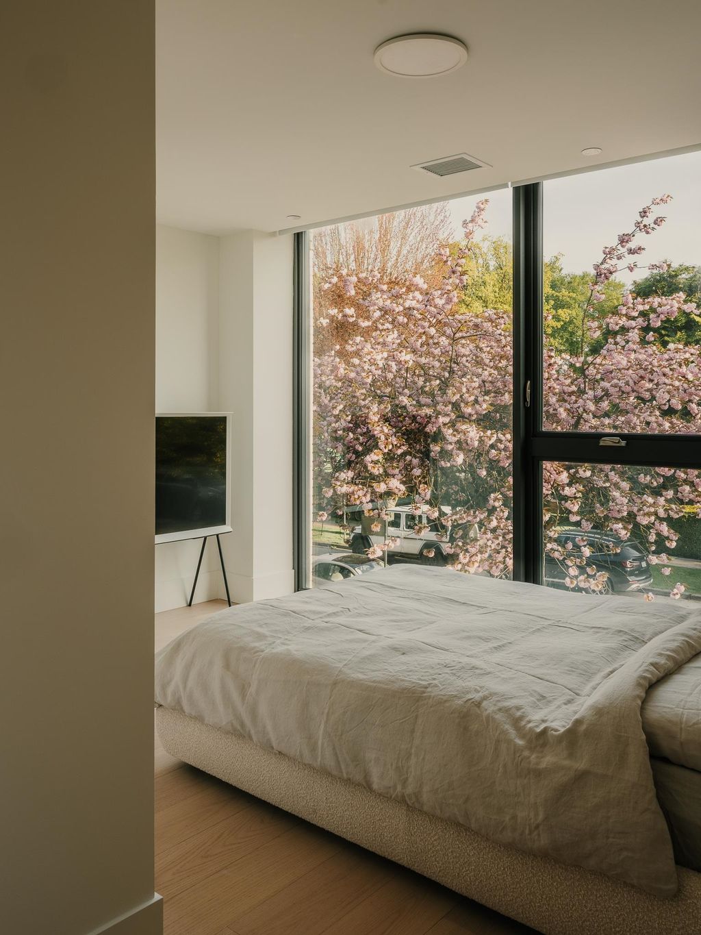 listing image 1104027949992879904