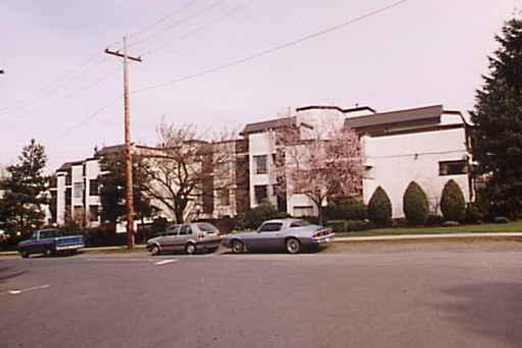 listing image 1102509227135346977