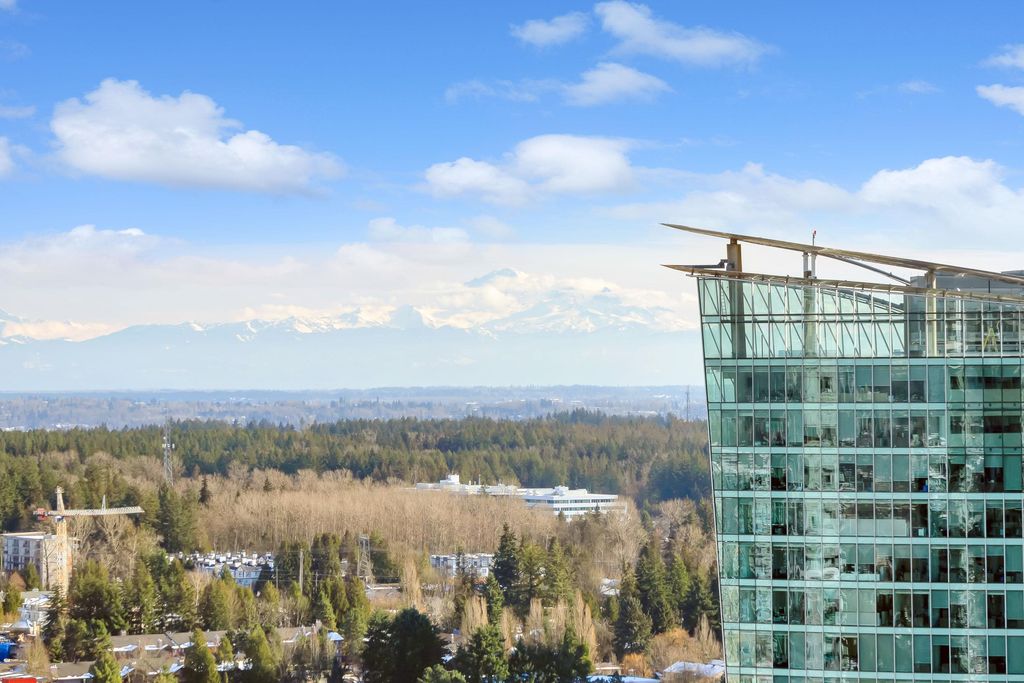 listing image 1108746196159062454