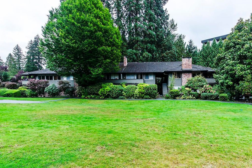 listing image 1101418987975249047