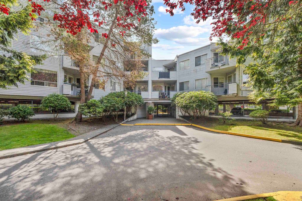 listing image 1104872528621033772