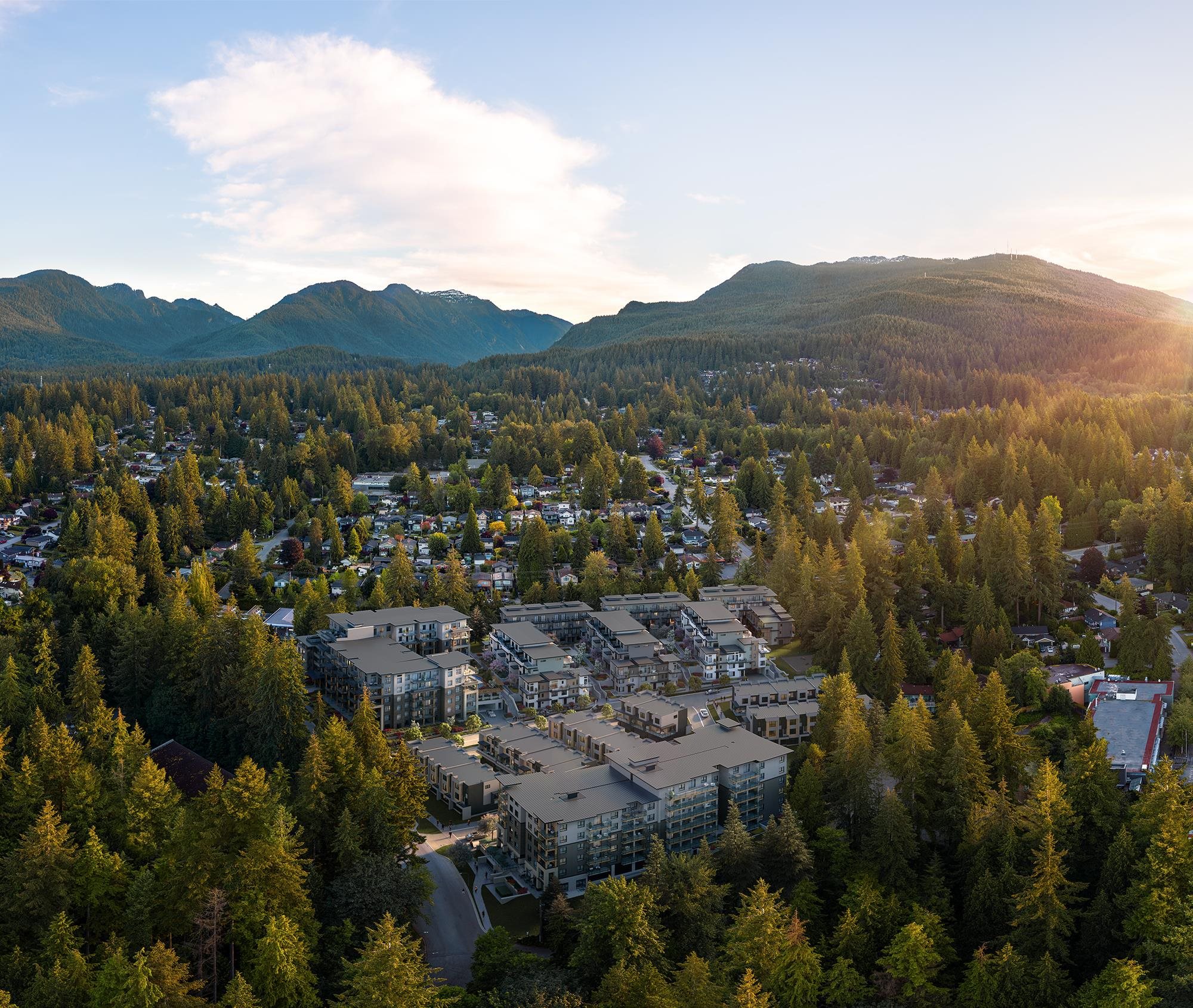 950 Lytton Street 115