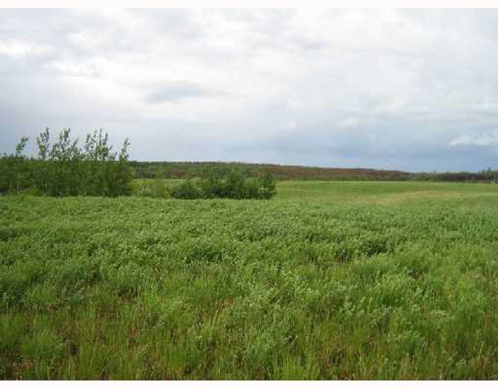 listing image 1102892097464190622