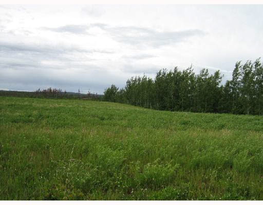 listing image 1102960338028974341