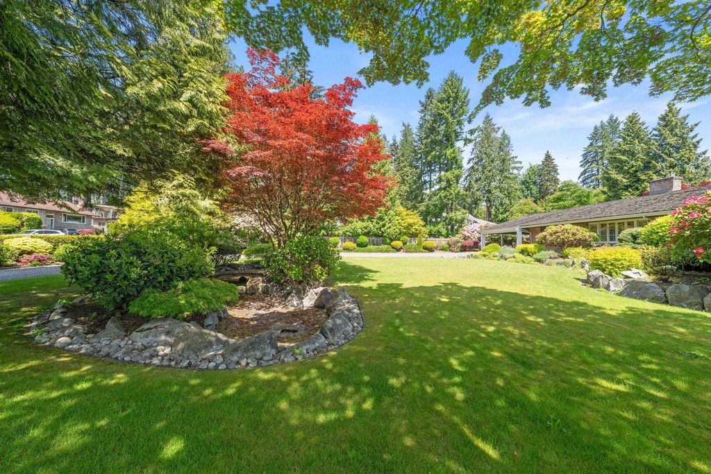listing image 1103472451022322092