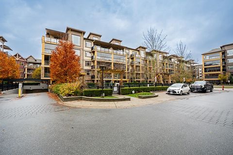 8258 207a Street 467 Langley BC V2Y 0N3