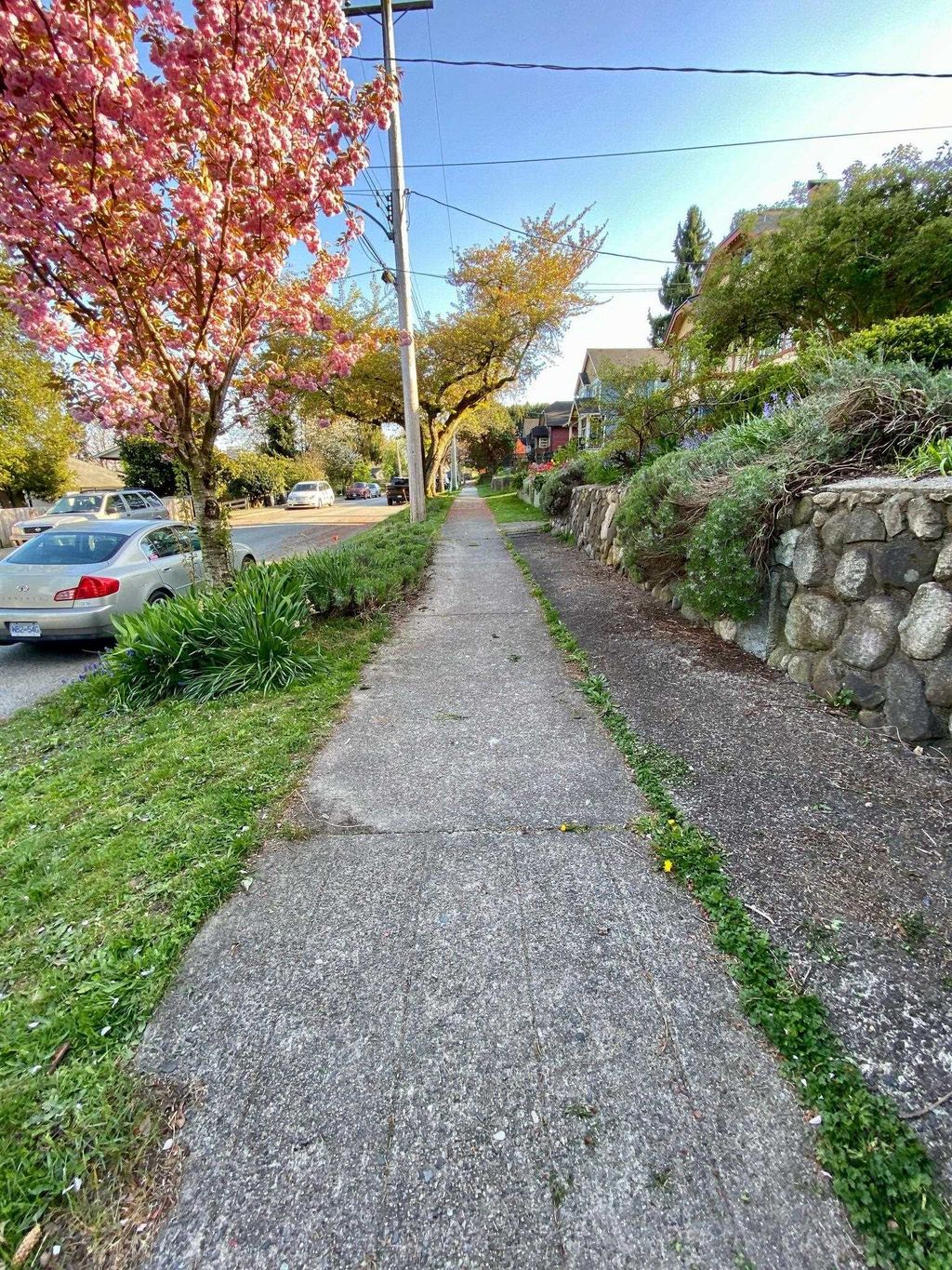 listing image 1107000111052892516
