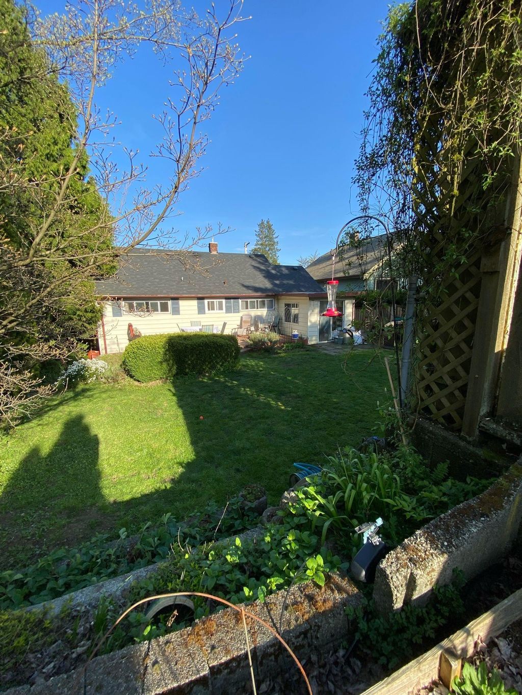 listing image 1101699998527229735