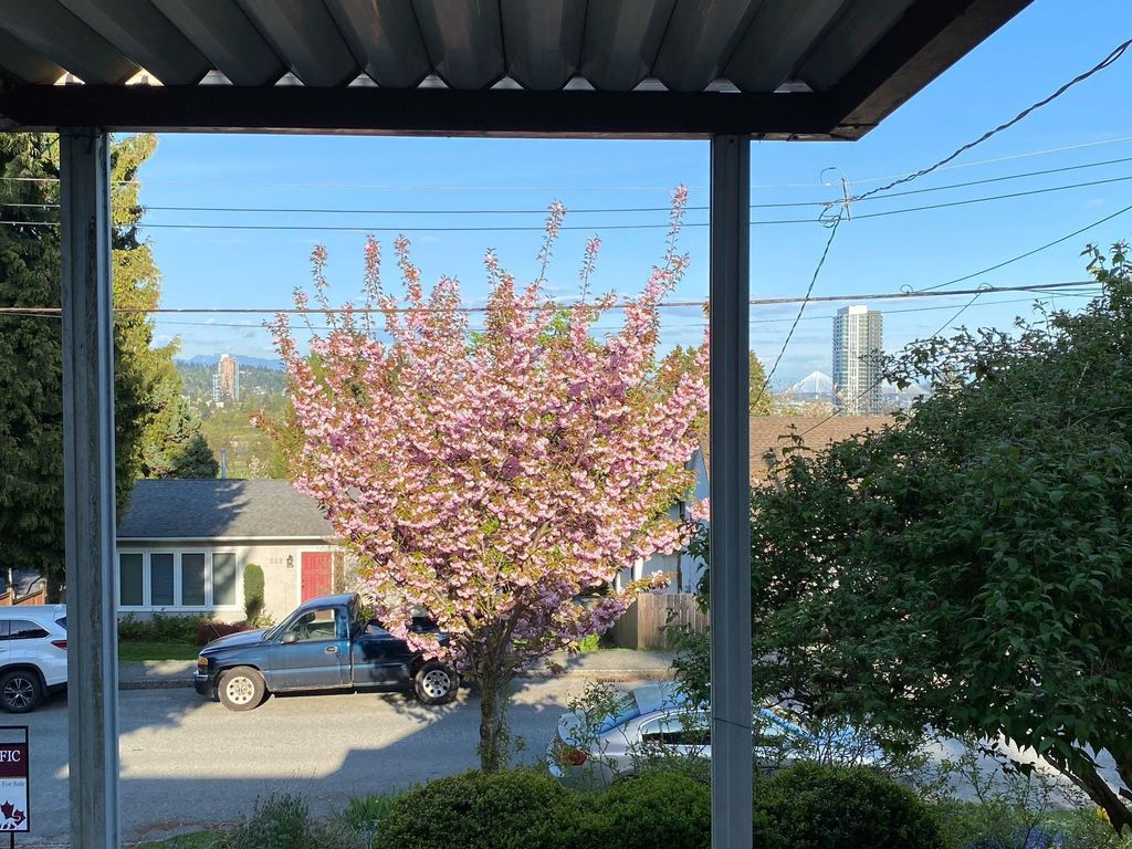 listing image 1105672891455508431