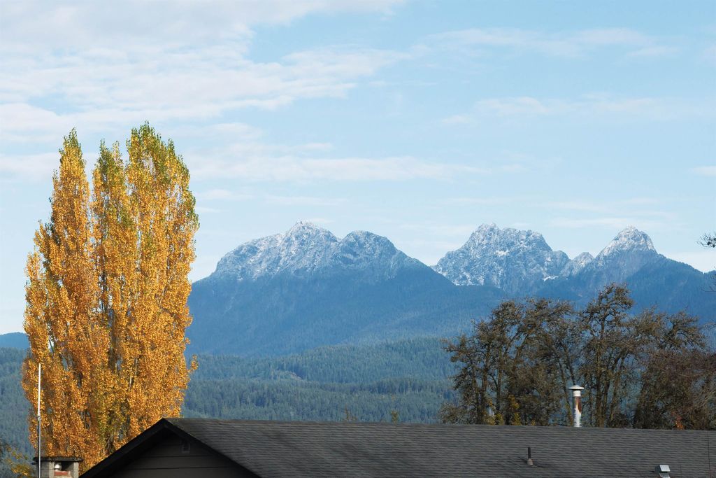 listing image 1107505420549079391