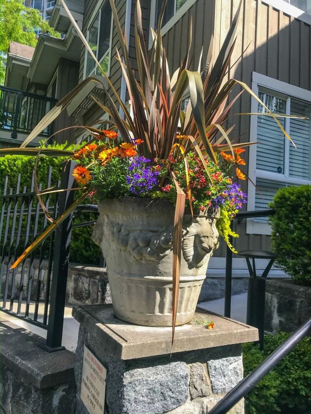 listing image 1103697711681075424
