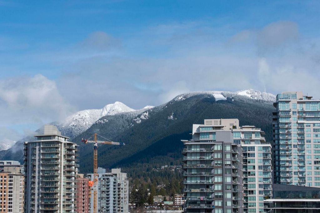 listing image 1103681484301042260