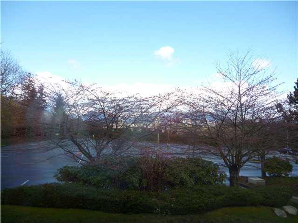 listing image 1101006784925932041