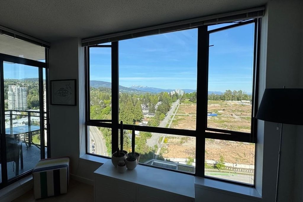 listing image 1101242279055749358