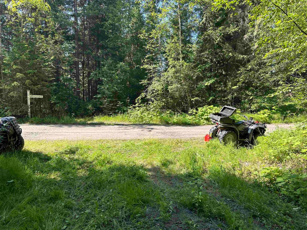 listing image 1101771429658175667