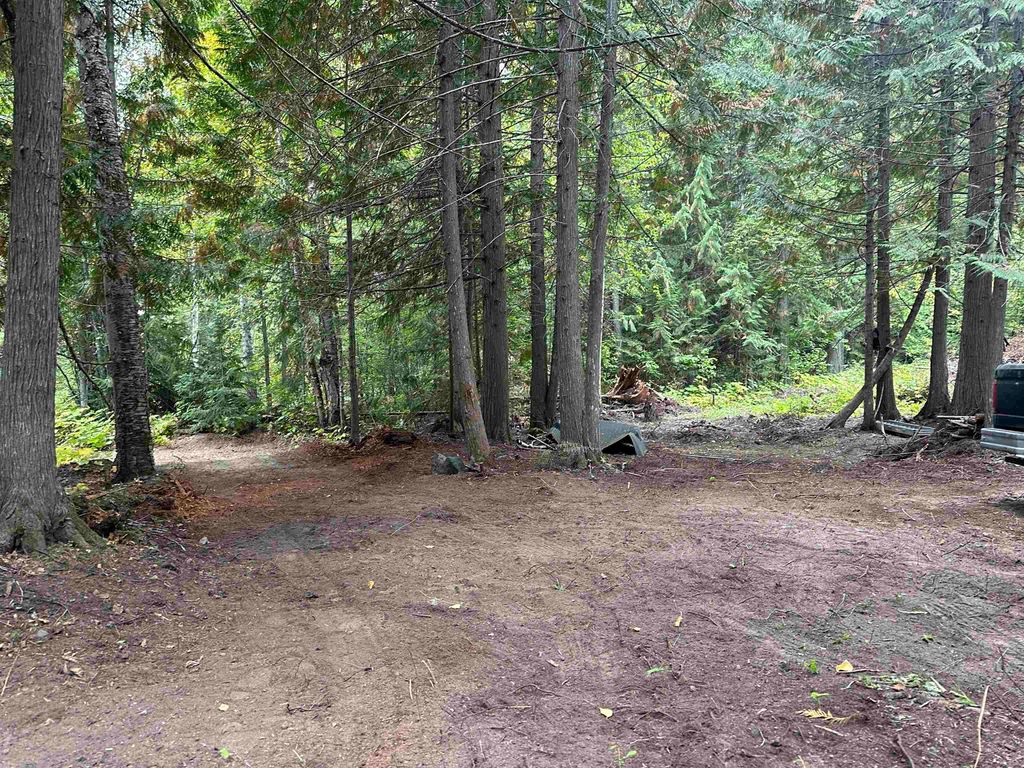 listing image 1104398500065183681