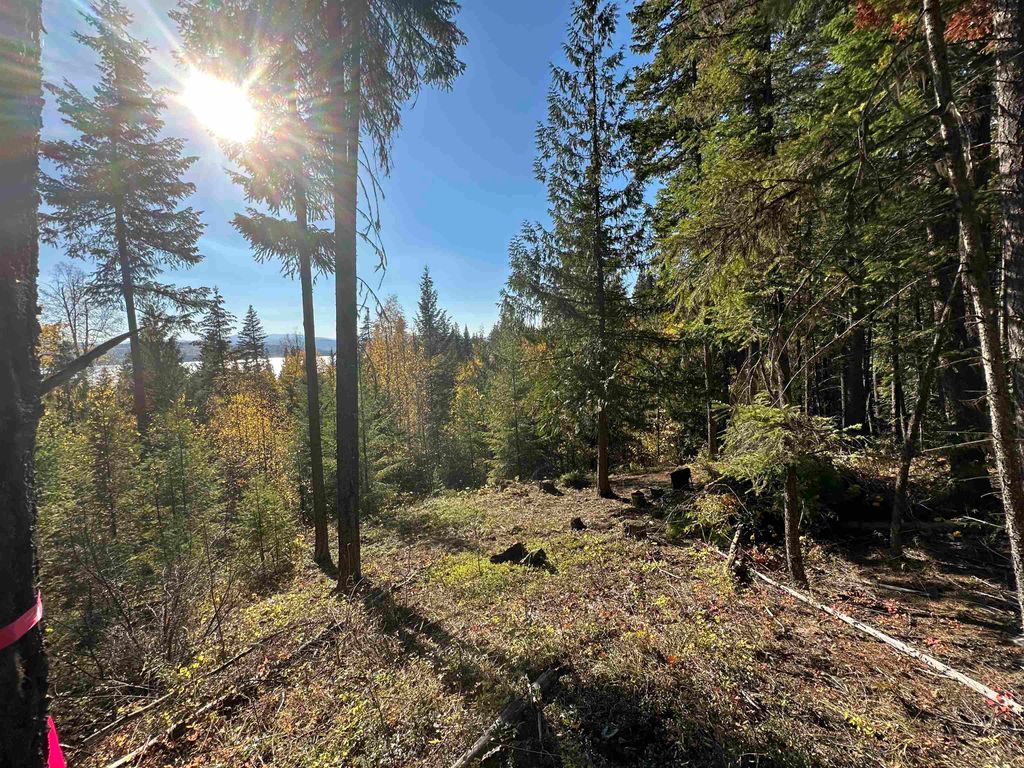 listing image 1105853564415834924