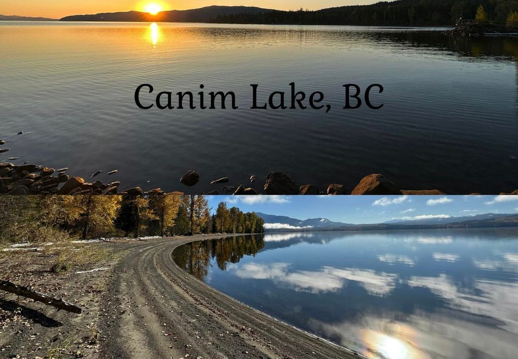 listing image 1106330574464475275