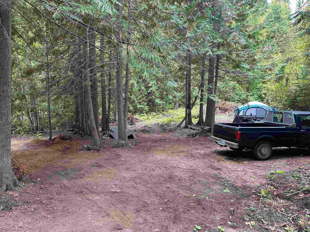 listing image 1105215093506234244