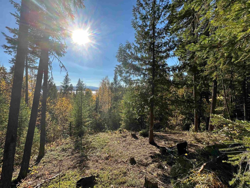 listing image 1106013971318205950