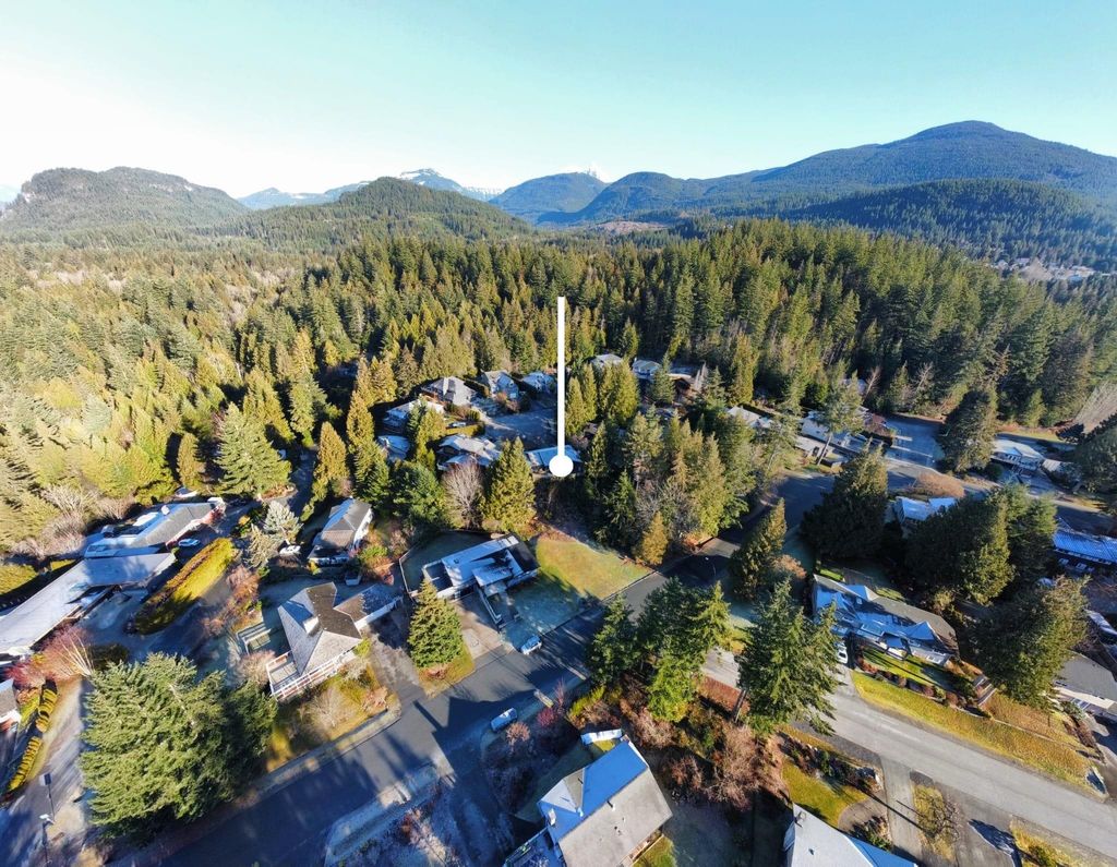 listing image 1106057410356836705