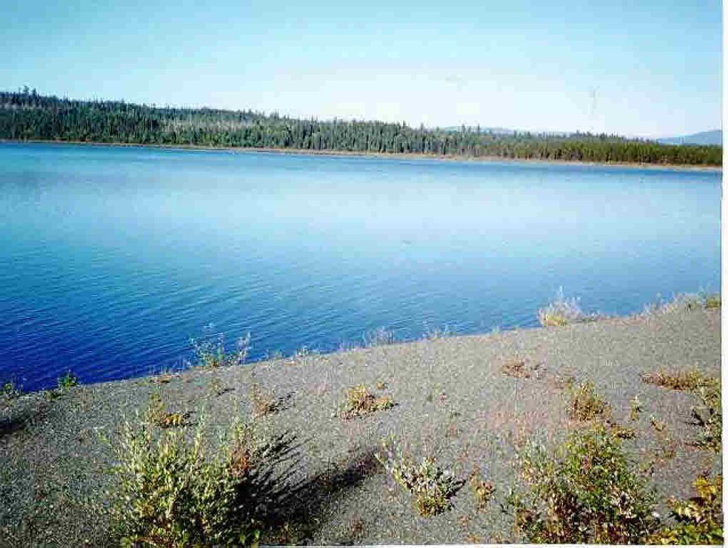 listing image 1108052582376032401