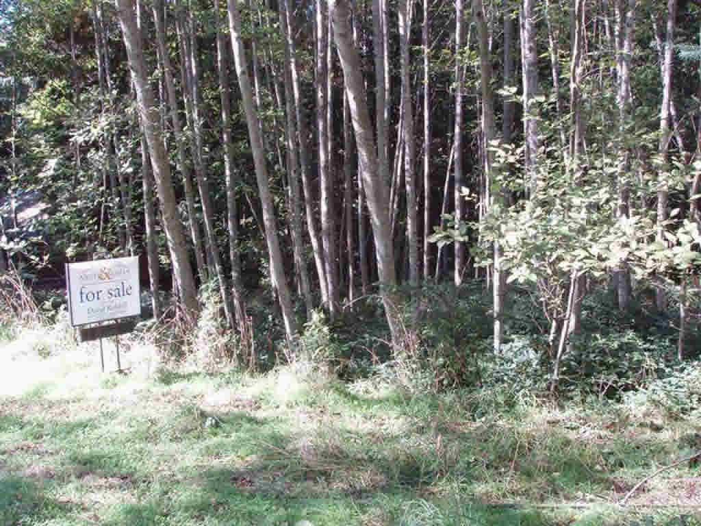 listing image 1105824926213355262