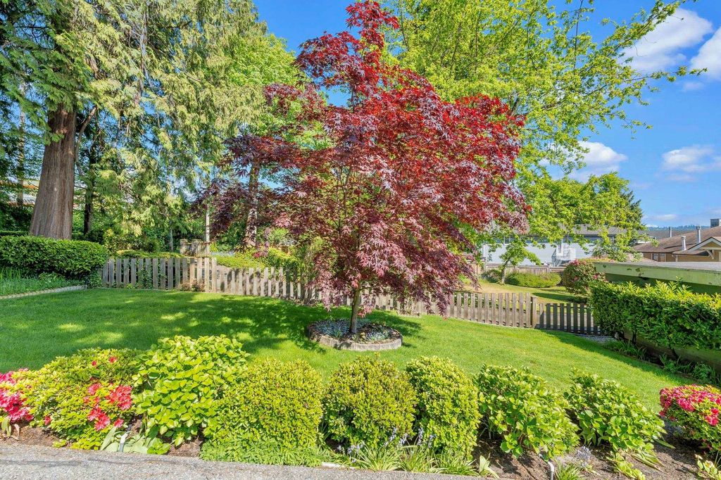listing image 1102416648316428789