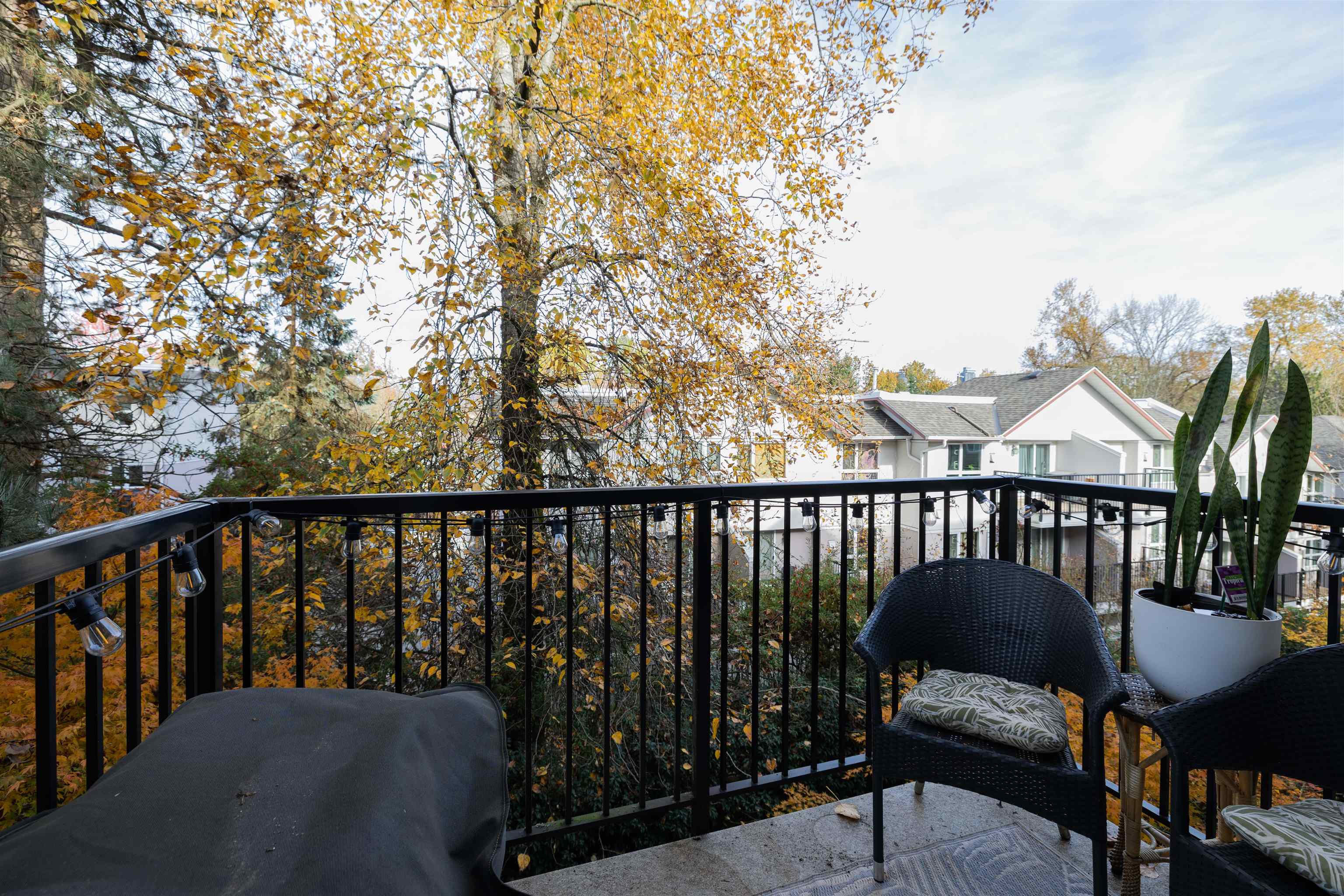 3888 Norfolk Street 229