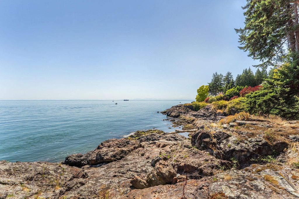 listing image 1103185969593540332