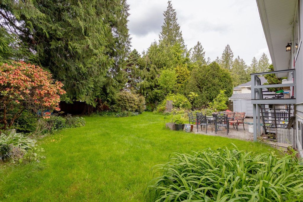 listing image 1102856521410712975