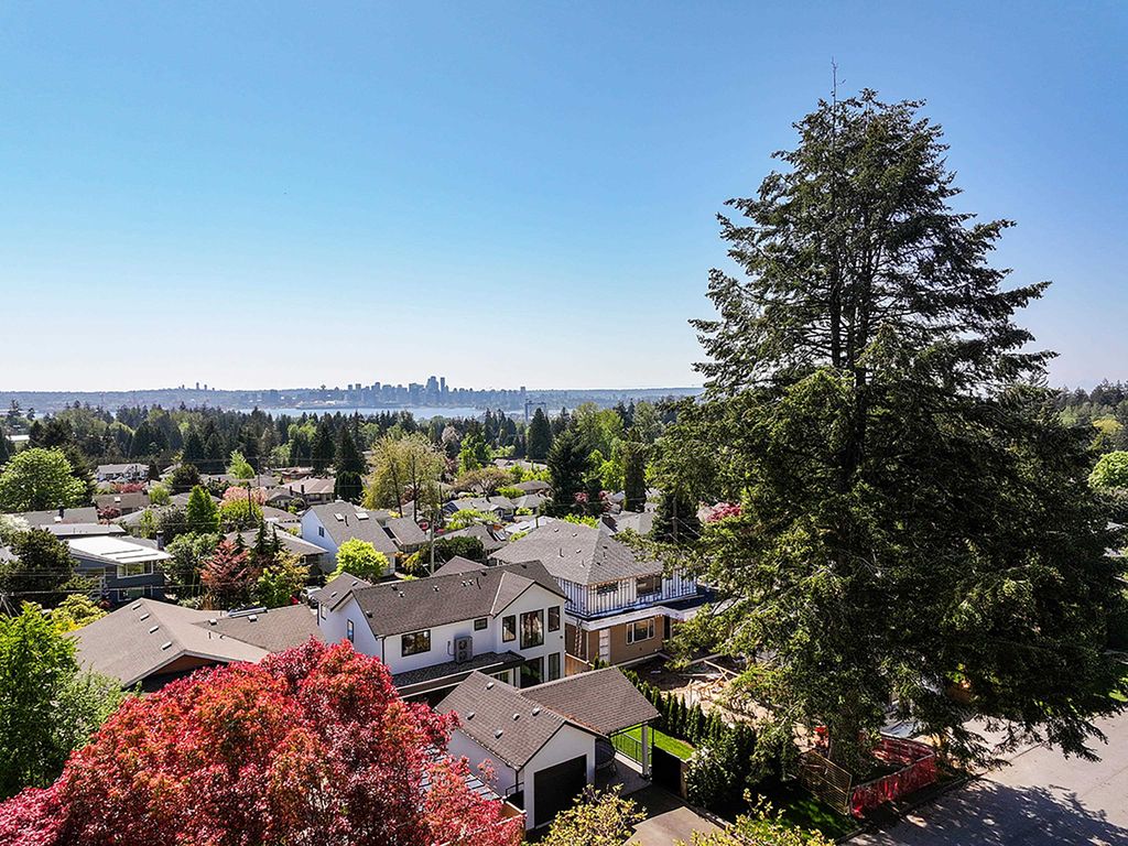 listing image 1106446939830015583