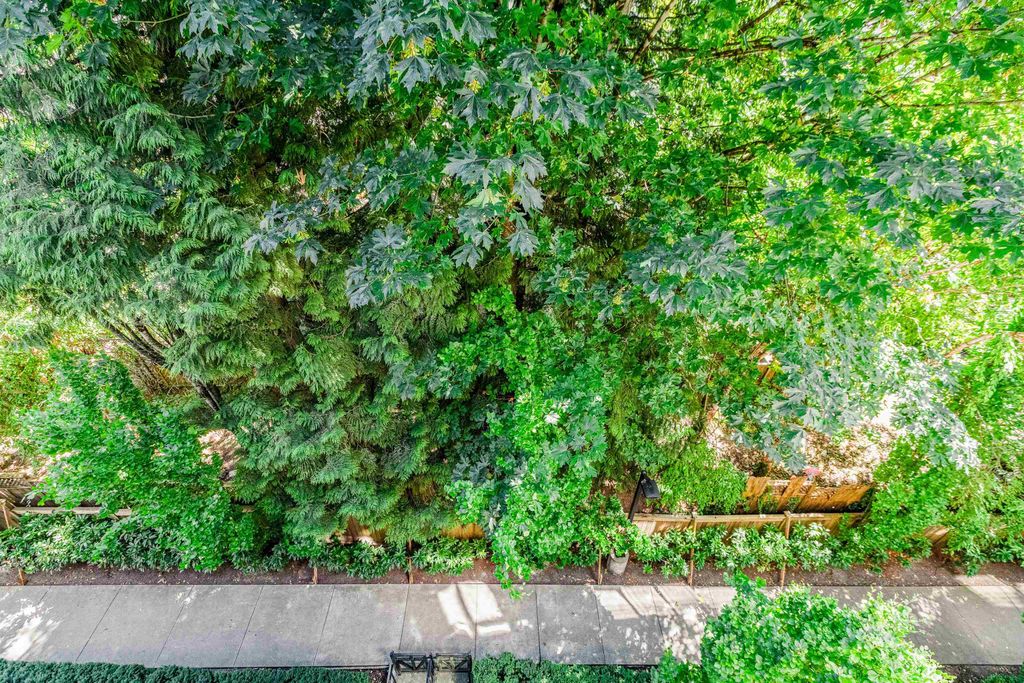 listing image 1106036999996596337