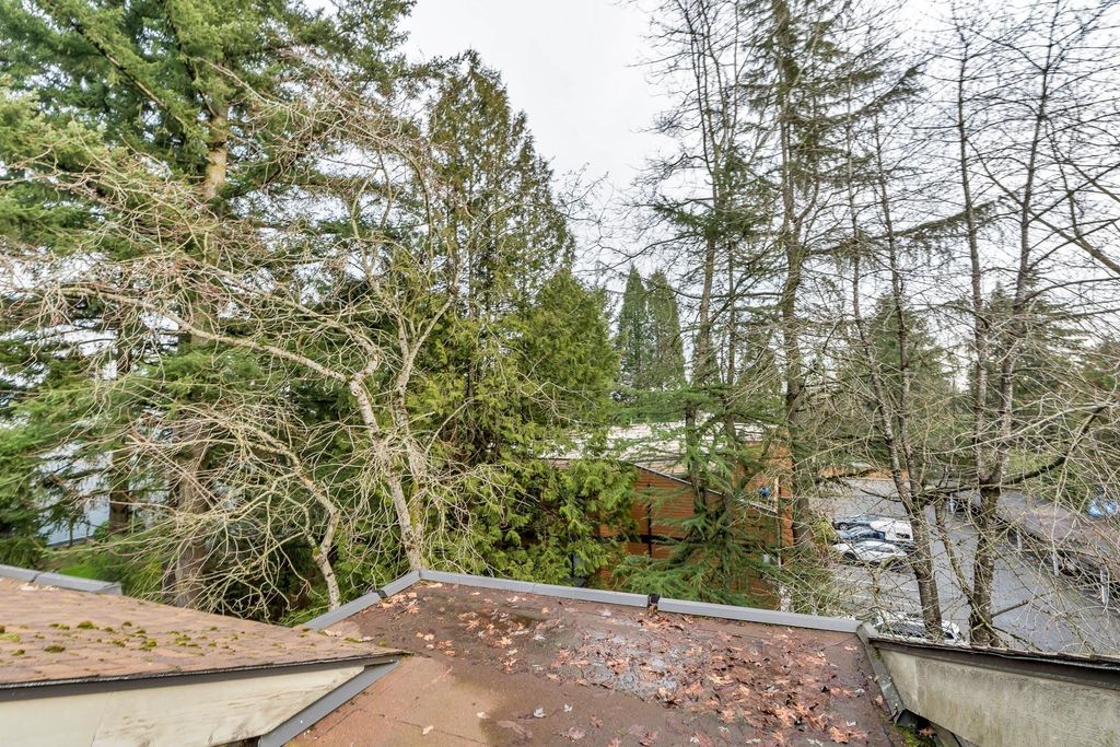 listing image 1106578558991426253