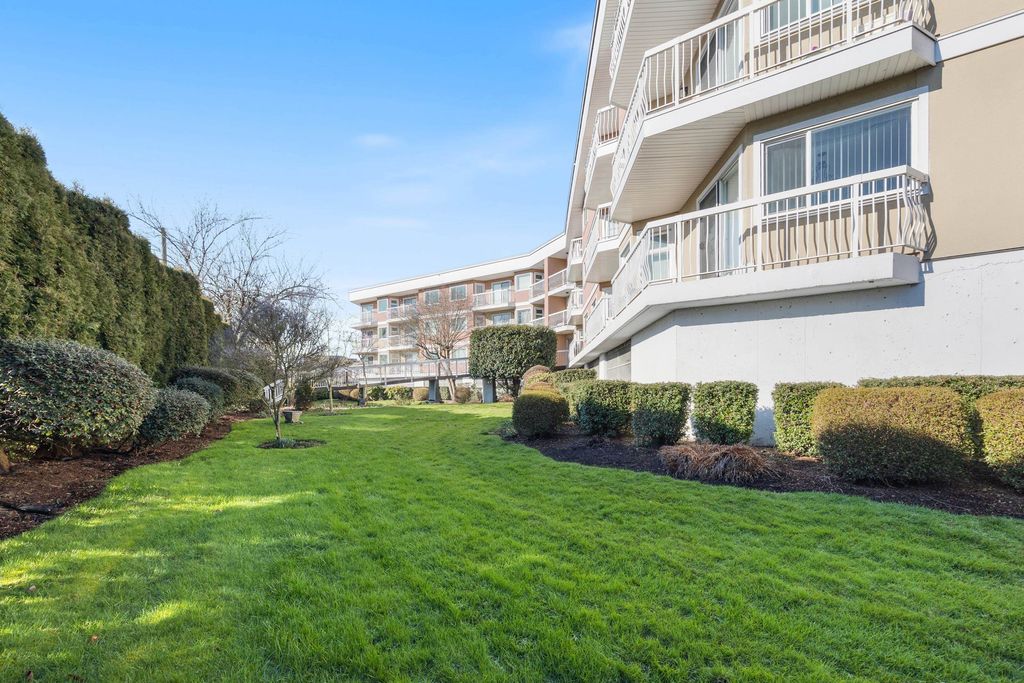 listing image 1107365873056911508