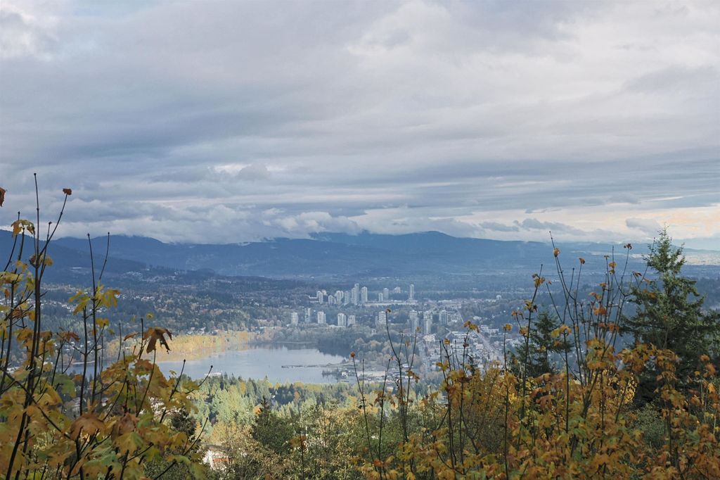 listing image 1103222990865141407