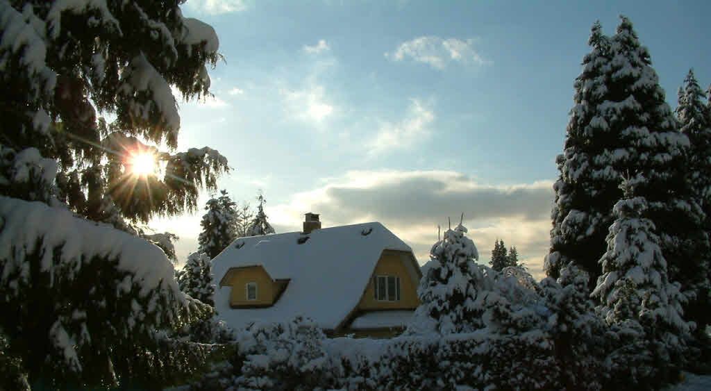 listing image 1104723402320298639