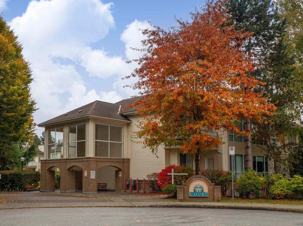 listing image 1105648411531668143