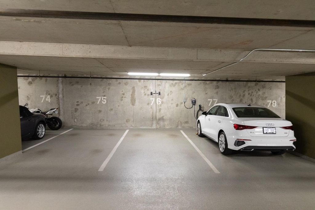 listing image 1101505074102319610