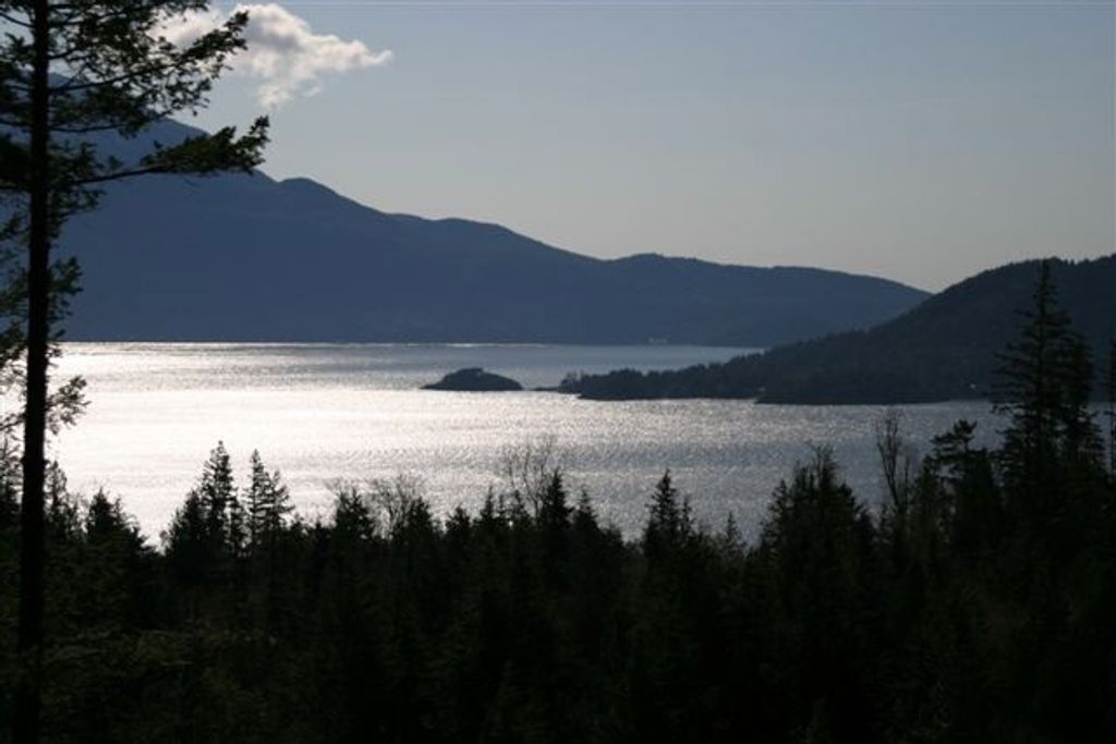 listing image 1104849086307510397