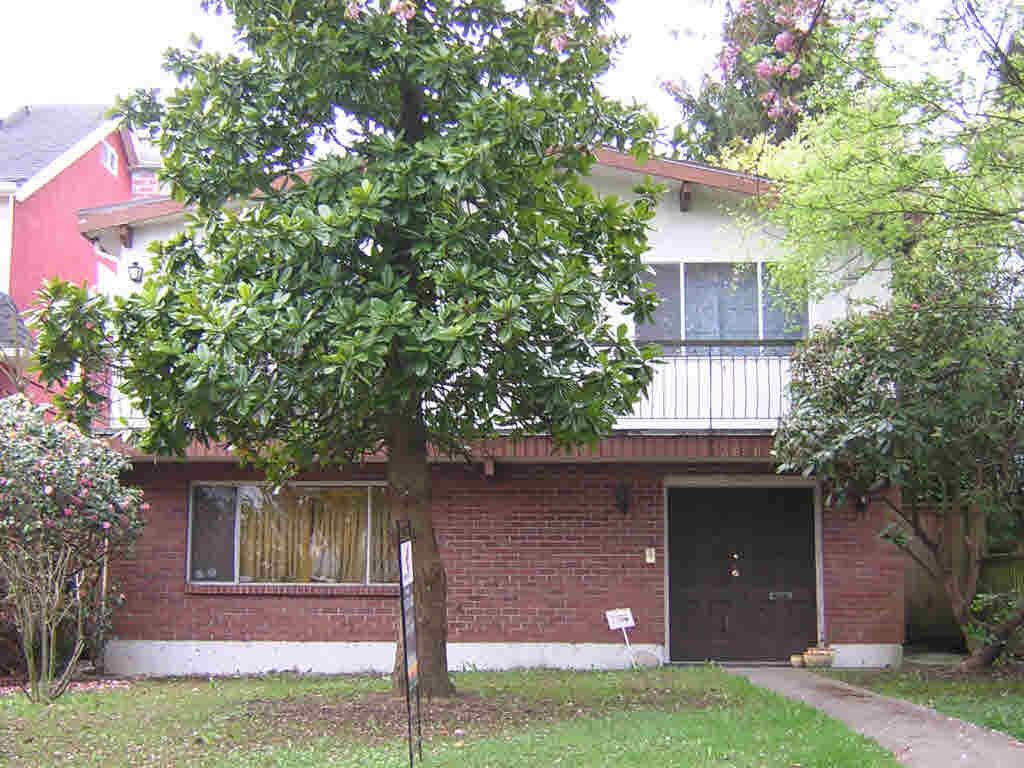 listing image 1109916108105480485