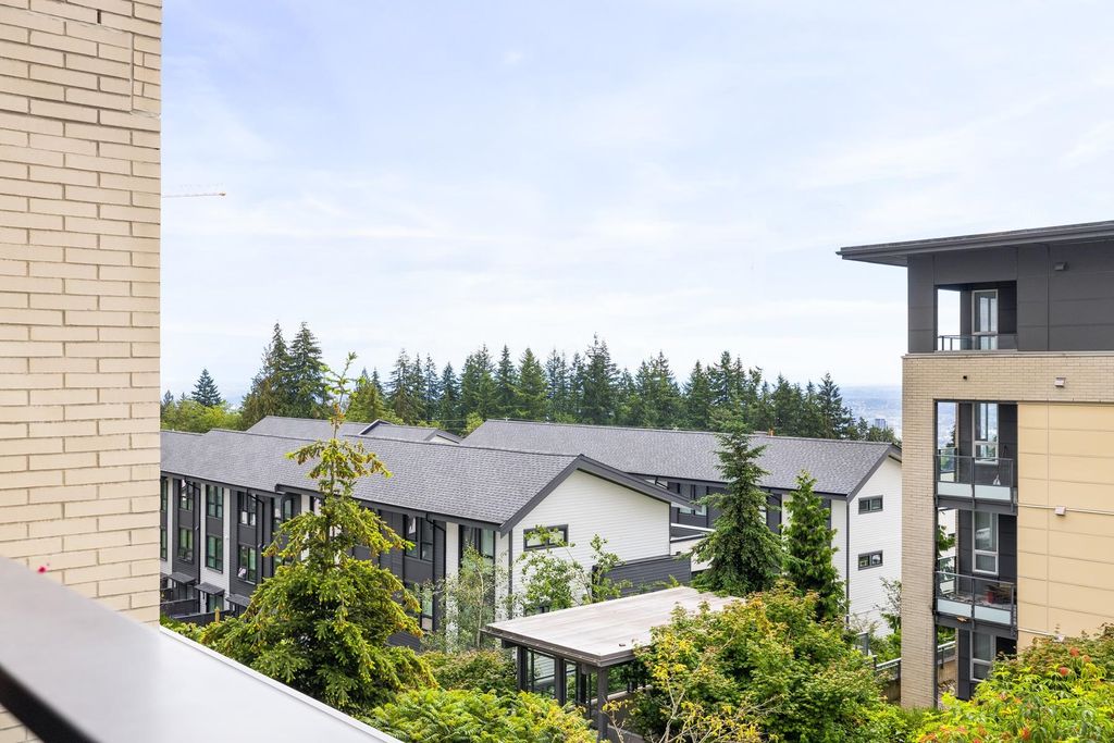 listing image 1100105044096045200